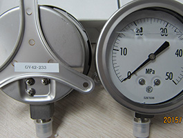 GV42-233(0-30MPa)